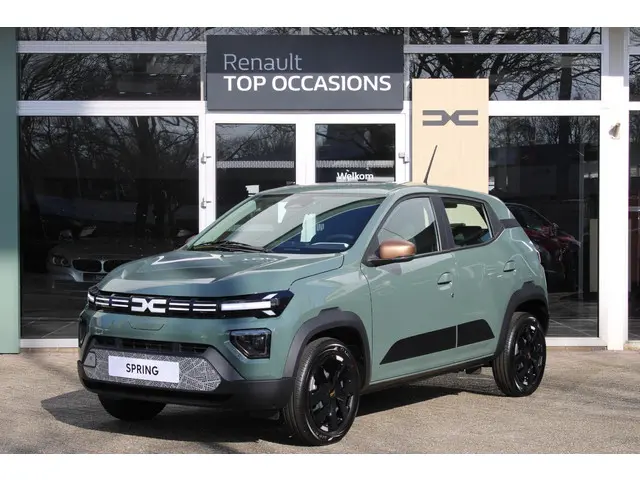 Dacia Spring 3