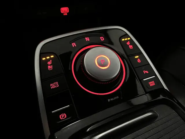 Kia e-Niro ExecutiveLine 64 kWh 2020 Elektrisch 10