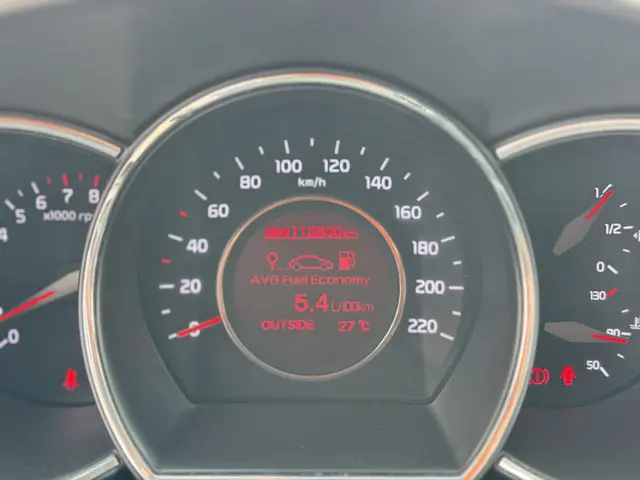 Kia Rio 1.2 CVVT World Cup Edition 2014 Benzine 32