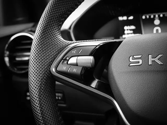 Škoda Fabia 1.0 TSI 115pk DSG Monte Carlo 2025 Benzine 14