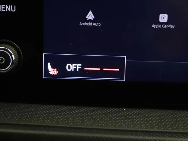 Škoda Fabia 1.0TSI DSG Edition 2023 Benzine 18