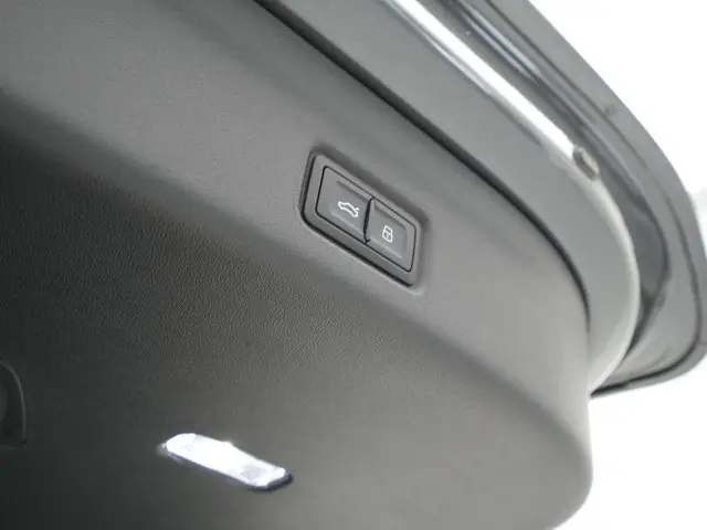 Audi SQ6 e-tron SQ6 100 kWh 2024 Elektrisch 14