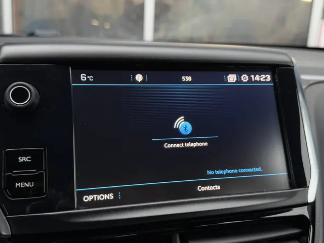 Peugeot 208 1.2 RIJKLAAR! Nieuwe Distributie 2019 Benzine 13