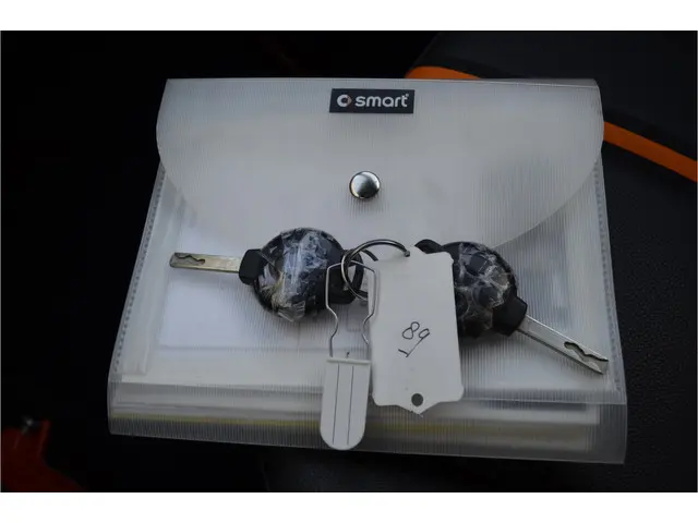 Smart Fortwo cabrio 1.0 mhd Flashlight 2016 Benzine 14