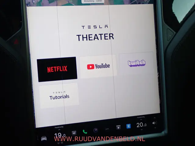 Tesla Model X 75D 2018 Elektrisch 21