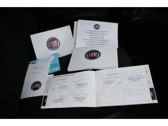 Fiat 500 1.2 Lounge AIRCO - PDC - 16" VELGEN 2013 Benzine 14