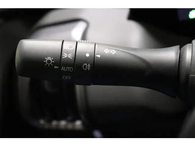 Toyota Urban Cruiser Executive 61 kWh, 2026 Elektrisch 22