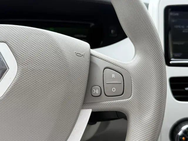Renault ZOE R90 Life Black Line 41 kWh 2019 Elektrisch 19
