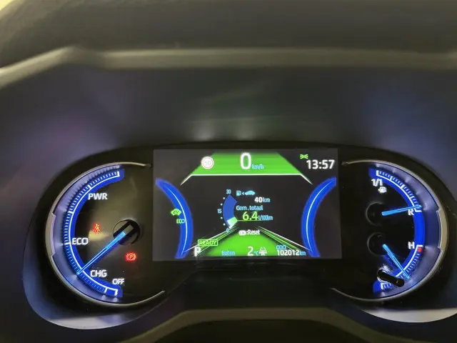 Toyota RAV4 2.5 Hybrid Bi-Tone 2019 Hybride Benzine 4