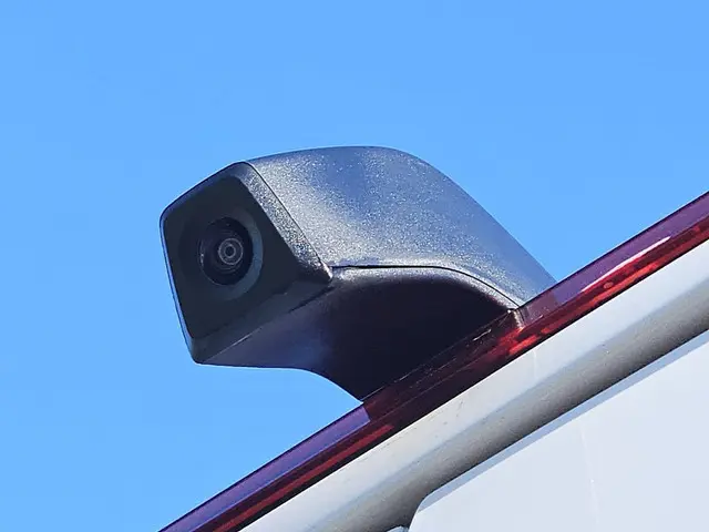 MAN TGE E-TGE 2021 Elektrisch 19