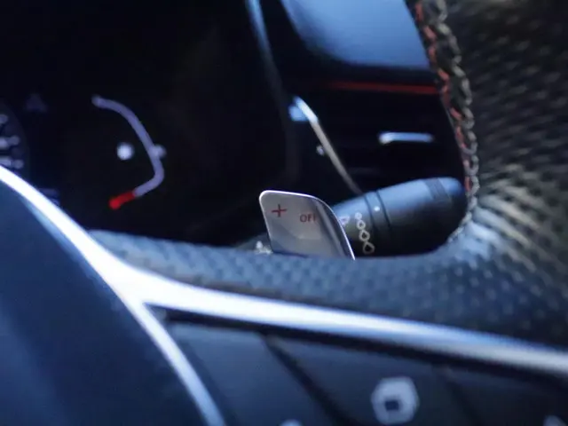 Renault Arkana 1.3 TCe 140 EDC R.S. Line 2021 Benzine 19