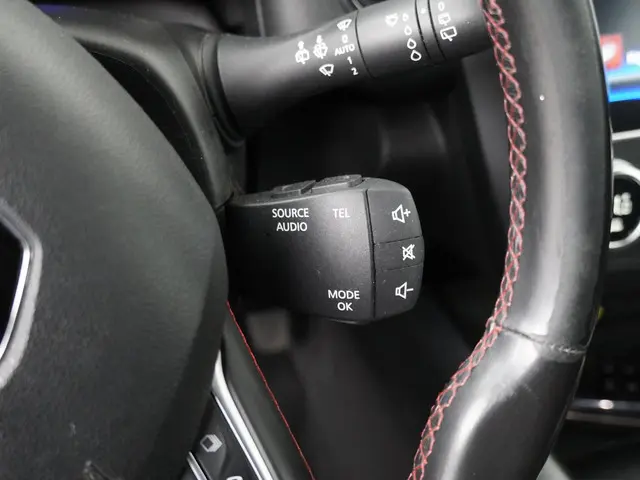 Renault Kadjar 1.3 TCe Intens 2019 Benzine 18