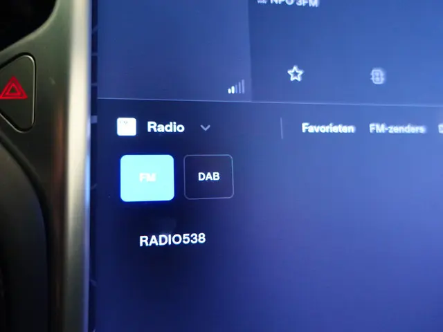 Tesla Model X 90D Base 2017 Elektrisch 15