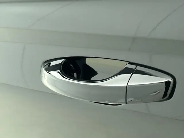 SEAT Ibiza 1.0 TSI Style Business Intense 2019 Benzine 24