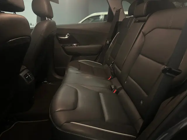 Kia e-Niro ExecutiveLine 64 kWh 2020 Elektrisch 19
