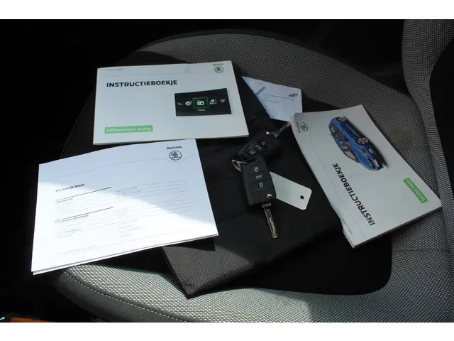 Škoda Fabia 1.4 TDI Ambition//Cruise//Airco//5drs!! 2016 Diesel 16