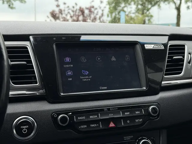 Kia e-Niro ExecutiveLine 64 kWh 2020 Elektrisch 25