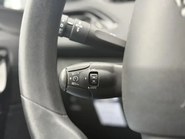 Peugeot 208 1.2 PureTech Blue Lion 2017 Benzine 25