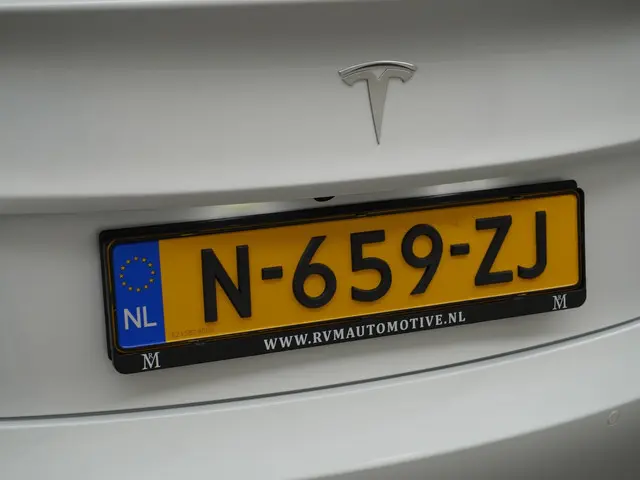 Tesla Model 3 Standard RWD Plus 60 kWh 2021 Elektrisch 10