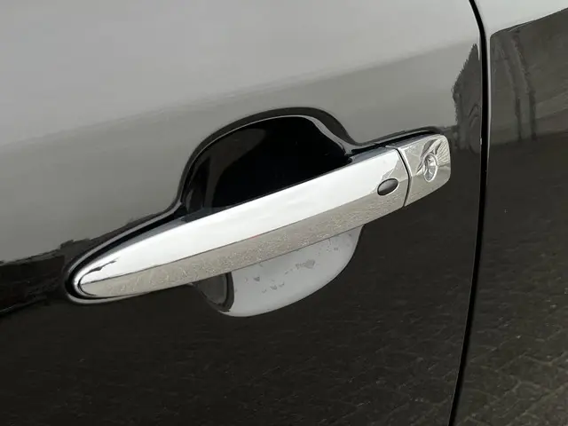 Nissan Leaf e+ N-Connecta 62 kWh 2021 Elektrisch 31