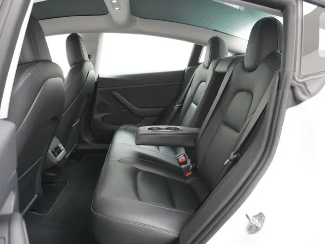 Tesla Model 3 Long Range RWD 75 kWh 2023 Elektrisch 22