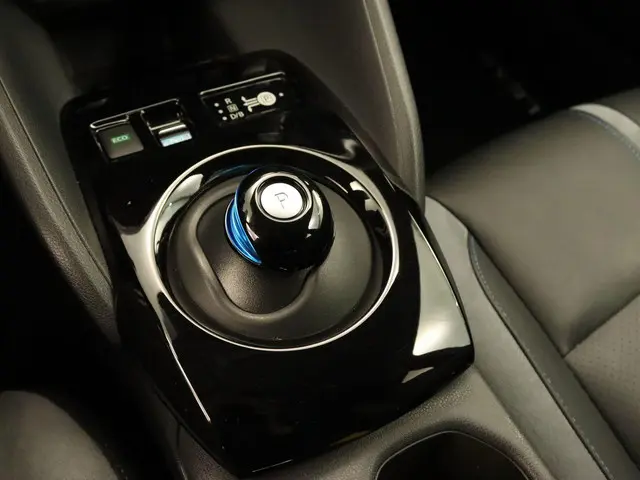 Nissan Leaf e+ Tekna 62 kWh 2019 Elektrisch 39