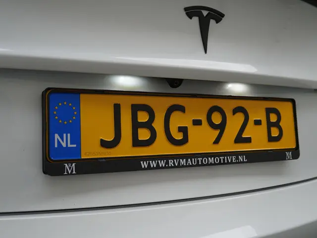 Tesla Model 3 Standard RWD Plus 60 kWh 2021 Elektrisch 10