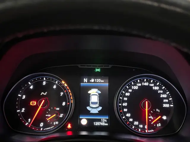 Hyundai i30 2.0 T-GDI N2 Performance 2018 Benzine 23