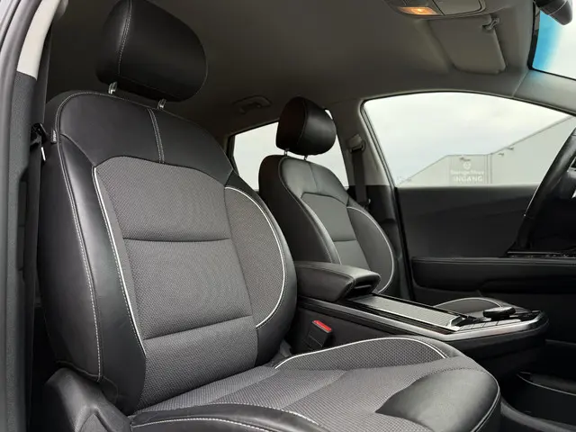 Kia e-Niro Aut. Dynamic Edition 64kWh 2021 Elektrisch 13