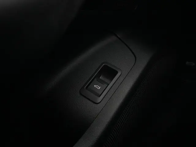 Audi SQ6 e-tron SQ6 100 kWh 2024 Elektrisch 35