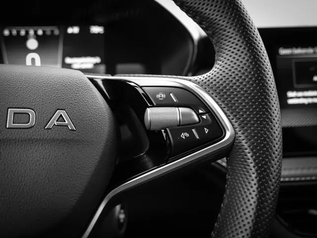 Škoda Fabia 1.0 TSI 115pk DSG Monte Carlo 2025 Benzine 17