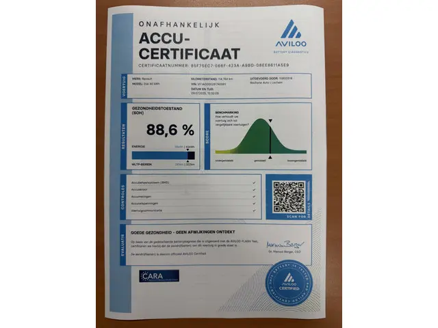 Renault ZOE R90 Life Black Line 41 kWh 2019 Elektrisch 29