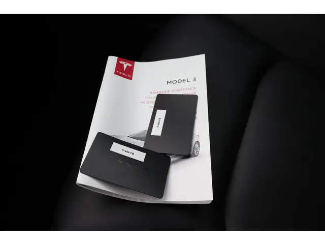 Tesla Model 3 Standard RWD Plus 60 kWh 2020 Elektrisch 7