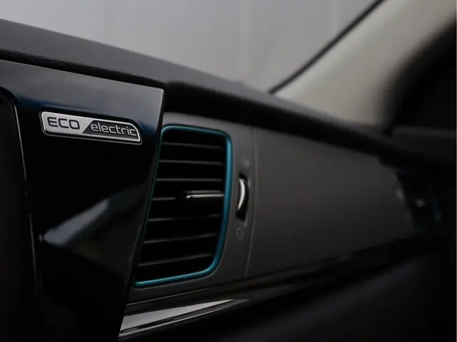 Kia e-Niro ExecutiveLine 64 kWh 2019 Elektrisch 57