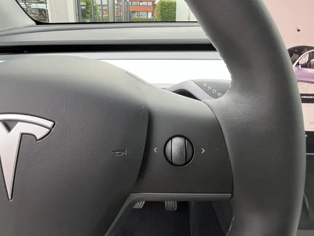 Tesla Model Y Long Range AWD 75 kWh 2023 Elektrisch 58