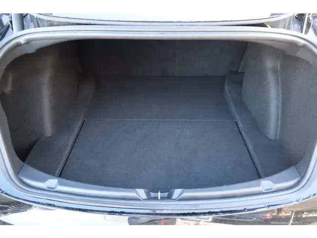 Tesla Model 3 Long Range AWD 75 kWh 2021 Elektrisch 18