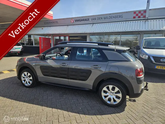 Citroën C4 Cactus 3