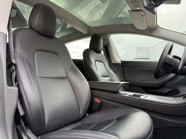 Tesla Model 3 Long Range AWD Dual 2020 Elektrisch 13