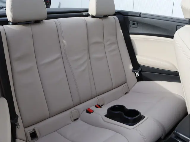 BMW 2 Serie Cabrio 220i High Executive 2021 Benzine 24