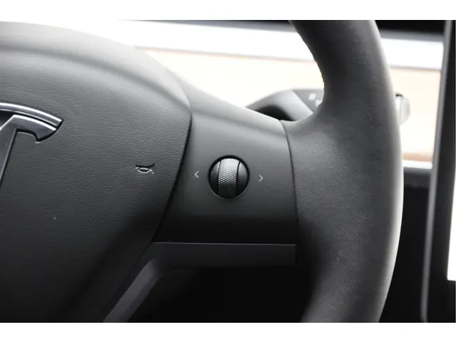 Tesla Model 3 Long Range AWD 75 kWh 2022 Elektrisch 22
