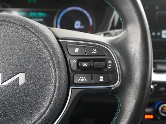 Kia e-Niro Edition 64 kWh 2021 Elektrisch 28