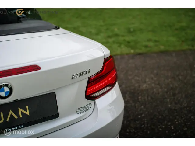 BMW 2 Serie Cabrio | 2018 Benzine 13