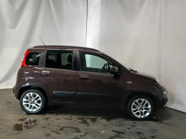 Fiat Panda 0.9 TwinAir Sempre - Schade 2013 Benzine 6