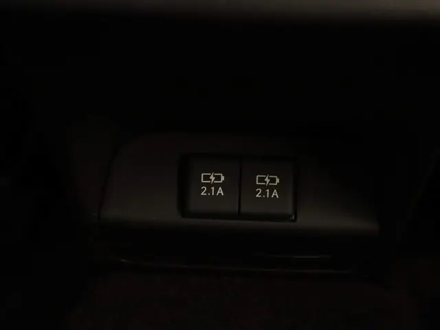 Lexus UX 300e Business 54 kWh 2020 Elektrisch 41