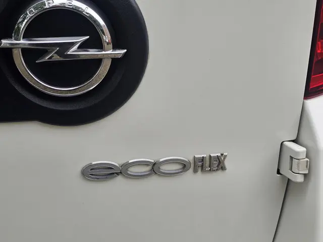 Opel Combo 1.3 CDTi L1H1 Sport Airco/Ccr/Pdc/Lmv 2018 Diesel 8