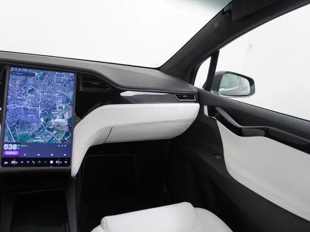 Tesla Model X Long Range 100Kwh 2020 Elektrisch 25