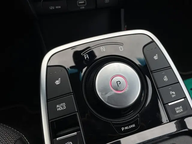 Kia e-Niro Edition 64 kWh 2021 Elektrisch 14