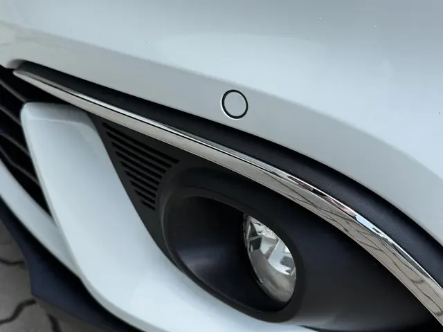Renault Scénic 1.3 TCe Intens 2019 Benzine 30
