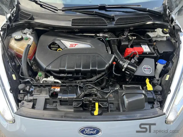 Ford Fiesta 1.6 ST200 2016 Benzine 22