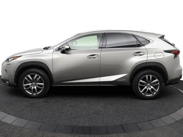 Lexus NX 3
